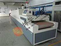 omt1